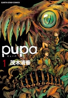 Pupa Pupa