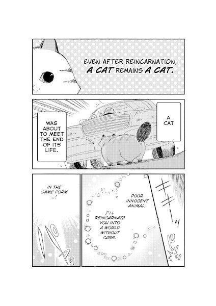 A Story about a Cat Reincarnated in a Different World Where There are no Cats A Story about a Cat Reincarnated in a Different World Where There are no Cats