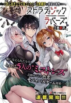 Strategic Lovers Strategic Lovers
